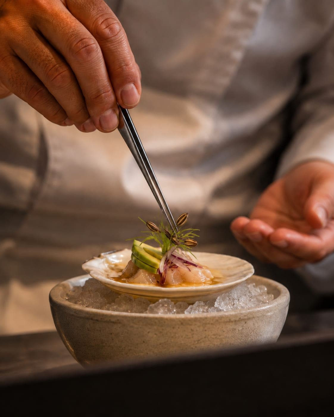 Chef finalisant un dressage de Saint-Jacques avec des microgreens à la pince