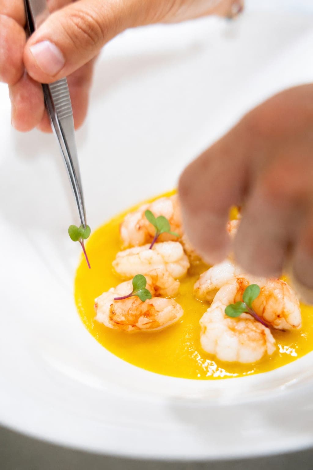Chef dressant des gambas à la pince avec des microgreens fraîches en cuisine de restaurant