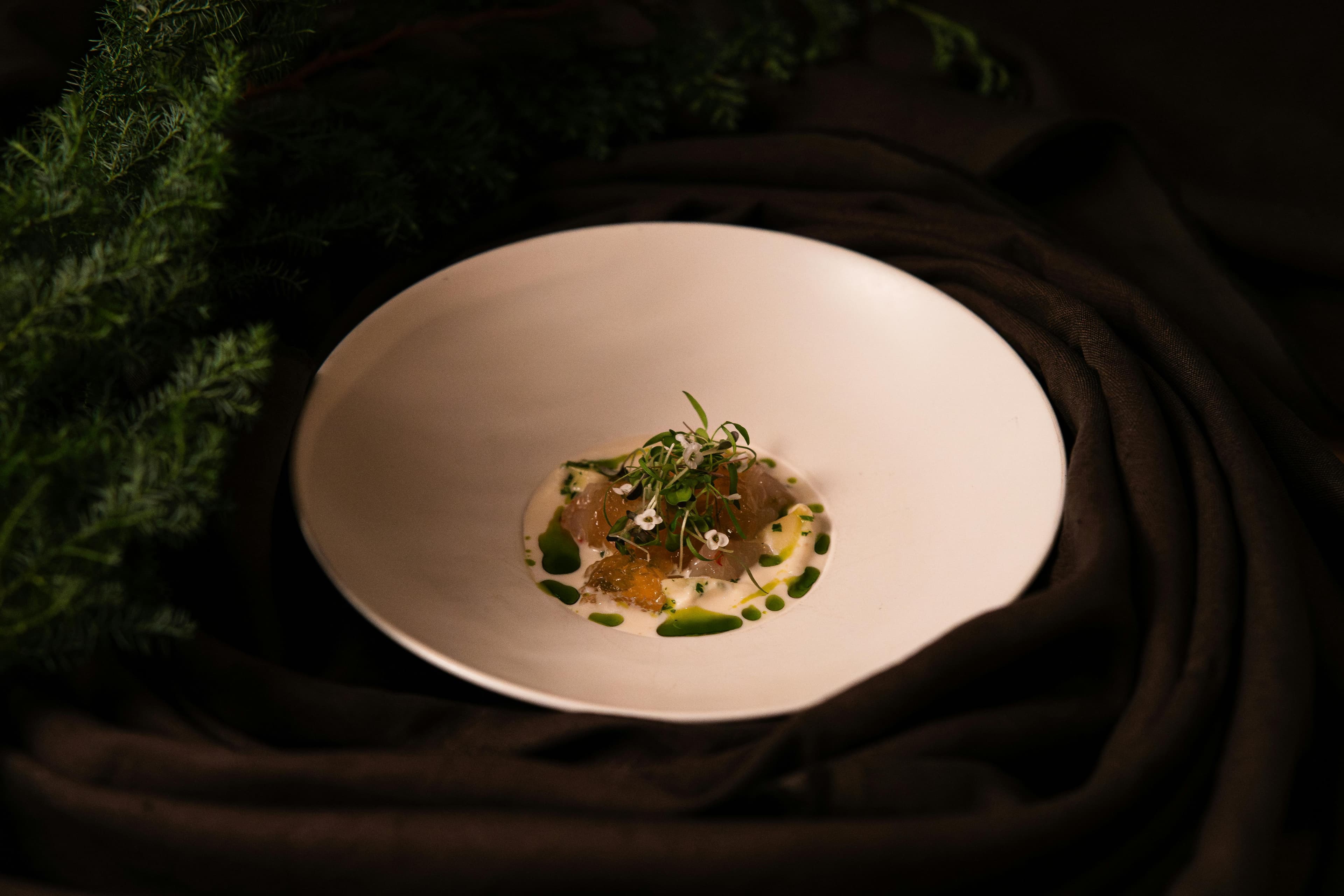 Micropousses fraîches Chef's Origin — Marrakech